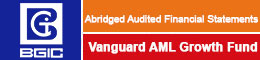 vanguard-aml-bd fs